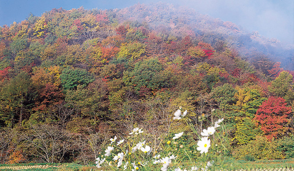 雄大な自然「奥の嵐山」