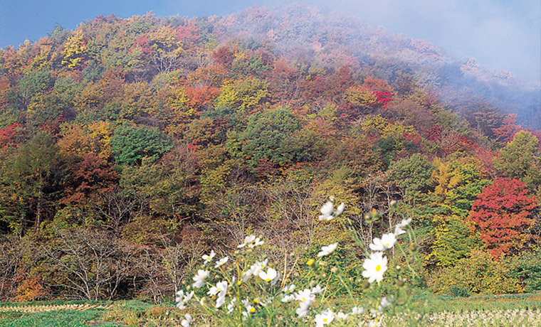 雄大な自然「奥の嵐山」