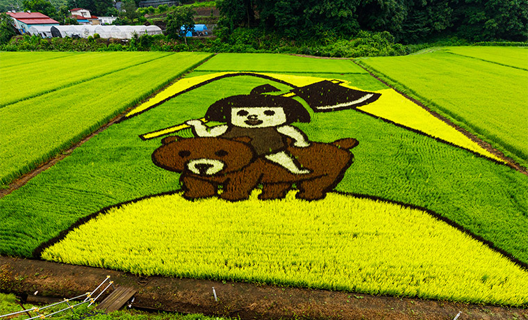 田んぼアート
